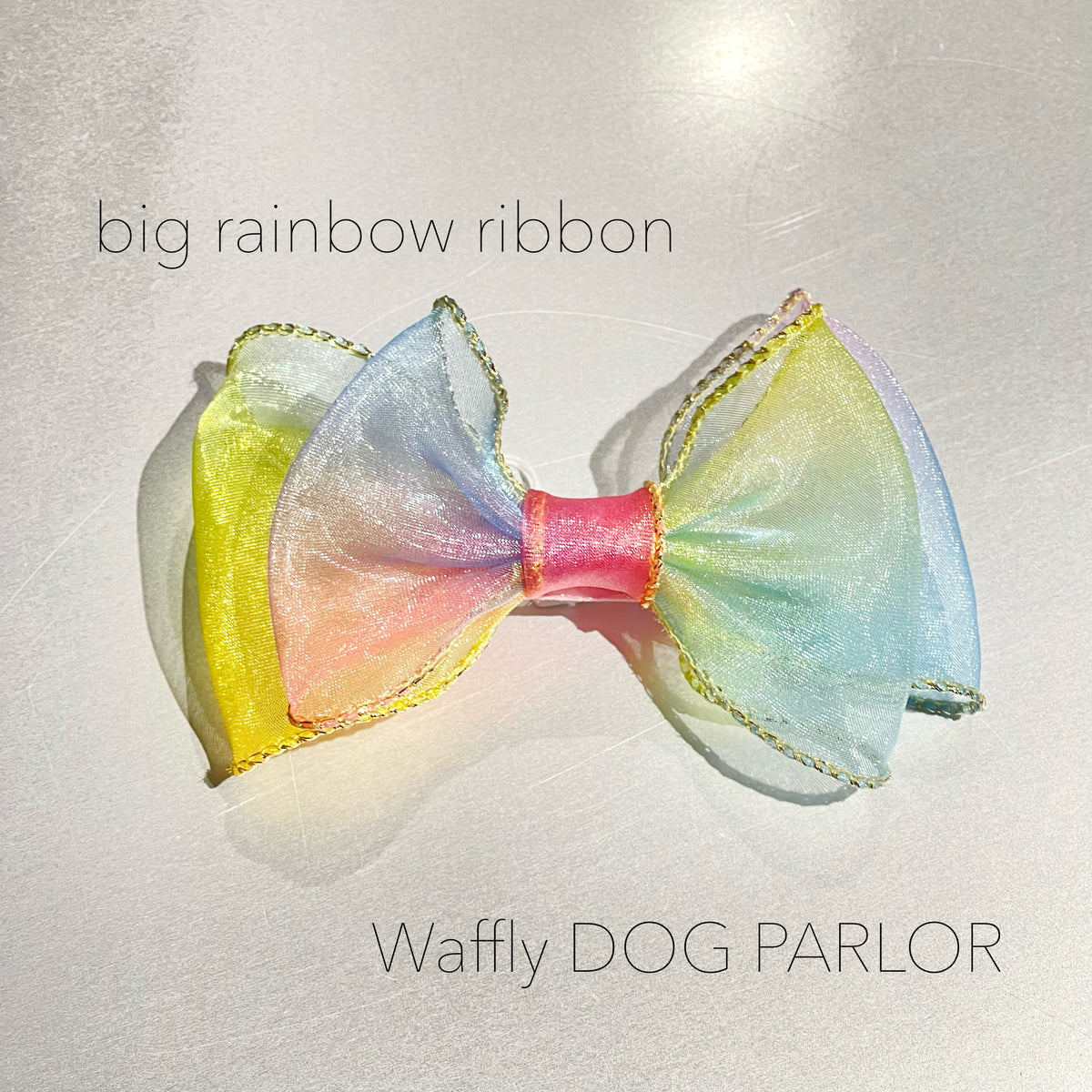 phonto3_1200x1200.jpg?v=1655801944